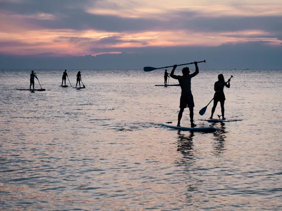 Favorite Professional   Paddle Board  Sup Boards  Sup for Sale  High Quality  Fishing Paddle Board 